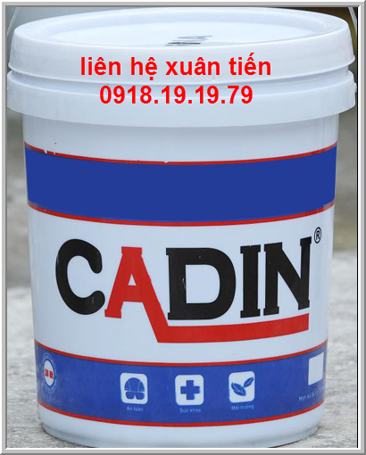 cadin bt.png