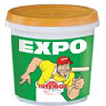 EXPO.jpg