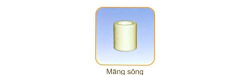Măng sông