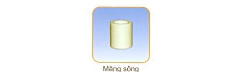 Măng sông