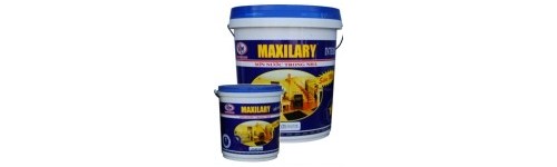 Sơn Maxilary b&aacute;n b&oacute;ng