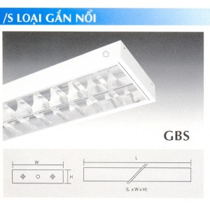 GBS.1368