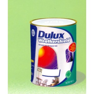 Dulux-W.18L