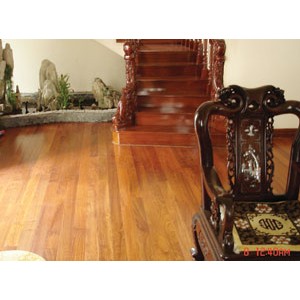 Gi&aacute;ng Hương Inđ&ocirc;n&ecirc;xia 750