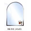k&iacute;nh cao cấp DQ 313