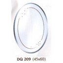 k&iacute;ng cao cấp DQ 209