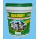 Sơn Ngoại Thất MAXILARY Siêu Trắng-Thùng 18Lít
