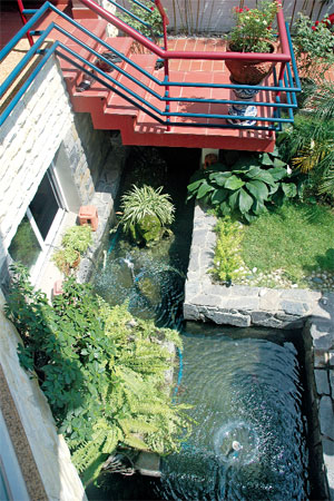 Image Image