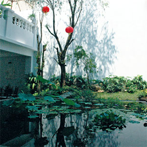 Image Image