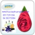 TINH DẦU TINH KHIẾT CAO CẤP 