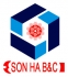 CÔNG TY CỔ PHẦN BU LÔNG & CÁP THÉP SƠN HÀ