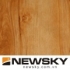 Newsky-Huỳnh đàn Việt Nam