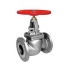 globe valve