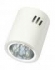 đèn dowlight gắn nổi