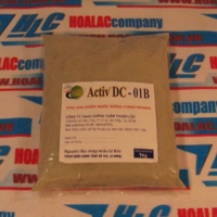 Activ DC-01B: phụ gia chặn nước đông cứng nhanh
