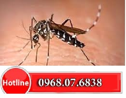 Cửa chống muỗi tự cuốn - cấu tạo hoàn chỉnh