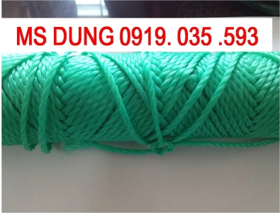 lưới bóng đá nhựa