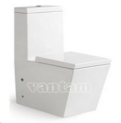  Bàn cầu vuông 1 khối Rivington tiêu chuẩn Úc