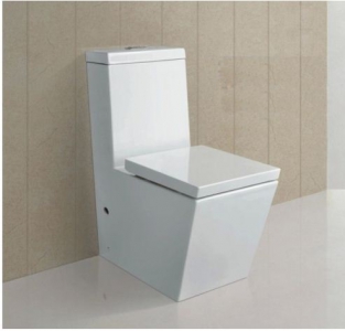 Bàn cầu 2  khối Rivington RVT 3101.