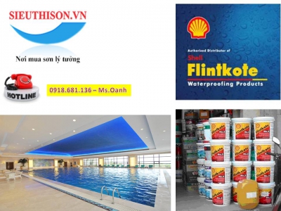 Thông số kỹ thuật sơn chống thấm Flinkote No.3  chính xác nhất