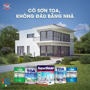 CÓ SƠN TOA KHÔNG ĐÂU BẰNG NHÀ
