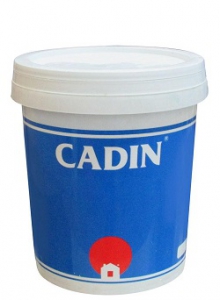 Sơn dầu hệ nước ngoài trời CADIN - A140