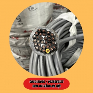 Cáp điều khiển / Cáp tín hiệu lõi đồng, lưới đống chống nhiễu
