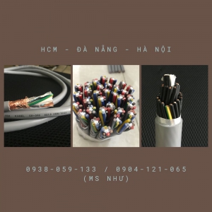 Cáp Điều Khiển Chống Nhiễu / Không Chống Nhiễu (RVV/RVVP)