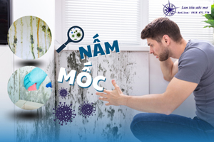 05 loại sơn chống nấm mốc Nippon