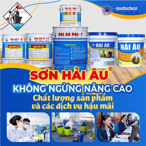 Đại lý bán sơn chịu nhiệt Hải Âu giá rẻ