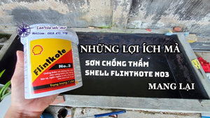 Thông tin về sơn chống thấm Shell Flintkote No3